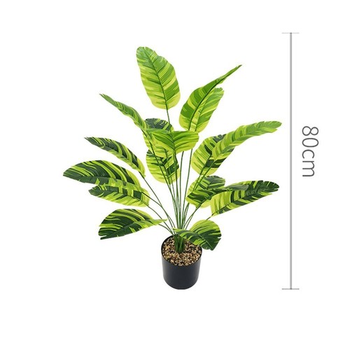 Fern Plant Large Tropical Palm Tree Outdoor Indoor Decor - Picture 20 of 30