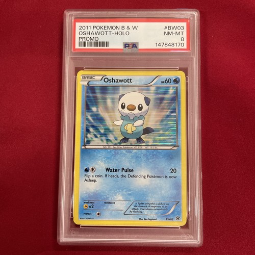 Oshawott graded PSA 8 for sale on eBay