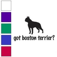 Got Boston Terrier Dog, Vinyl Decal Sticker, Multiple Colors  Sizes 1259