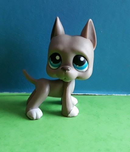 Littlest Pet Shop Hasbro - Chien Danois Ou Dogue Argentin (n°1688)