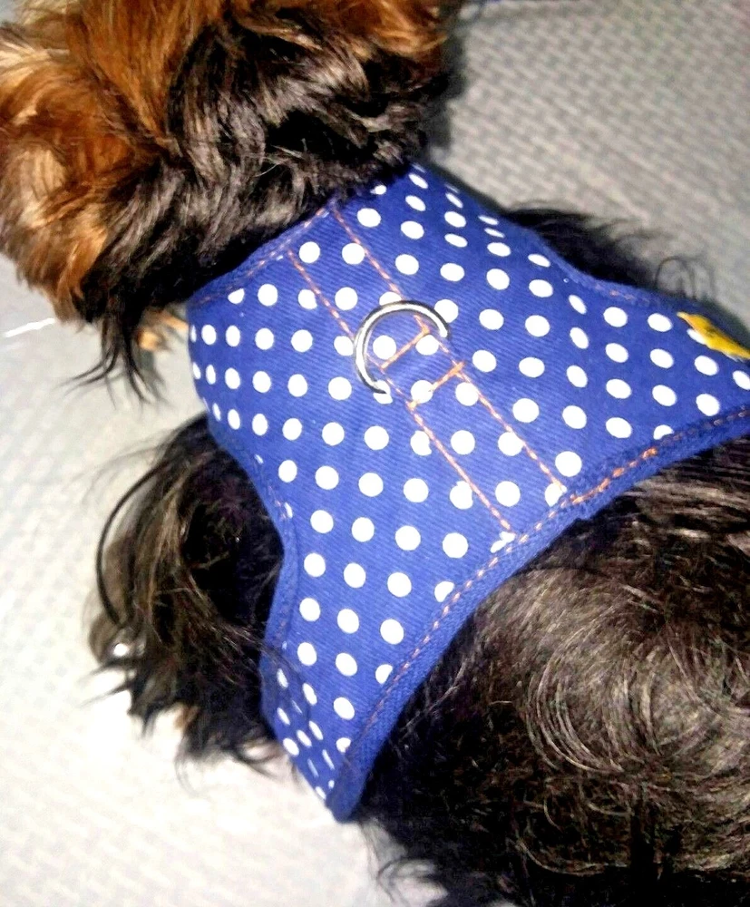 DOG HARNESS & LEASH SET, BLUE or PINK POLK A DOT