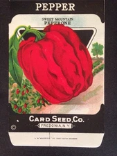 1930s Litho Antique Vintage Seed Packet Pepper Peperome Seed Co Pack Mint