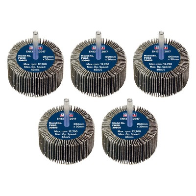 Sealey Klappe Rad � 60 x 30mm�6mm Schaft Verschiedene Körnung - Packung 5