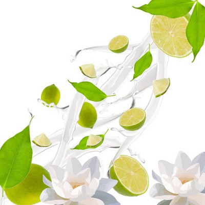 Matcha Time Fragrance Oil