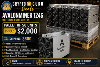 50x Canaan AvalonMiner 1246 Bitcoin ASIC Miners   Bulk Lot / Pallet
