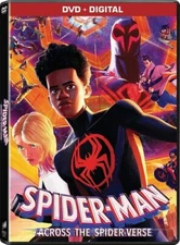 Spider-Man: Across the Spider-Verse (DVD + Digital, 2023)
