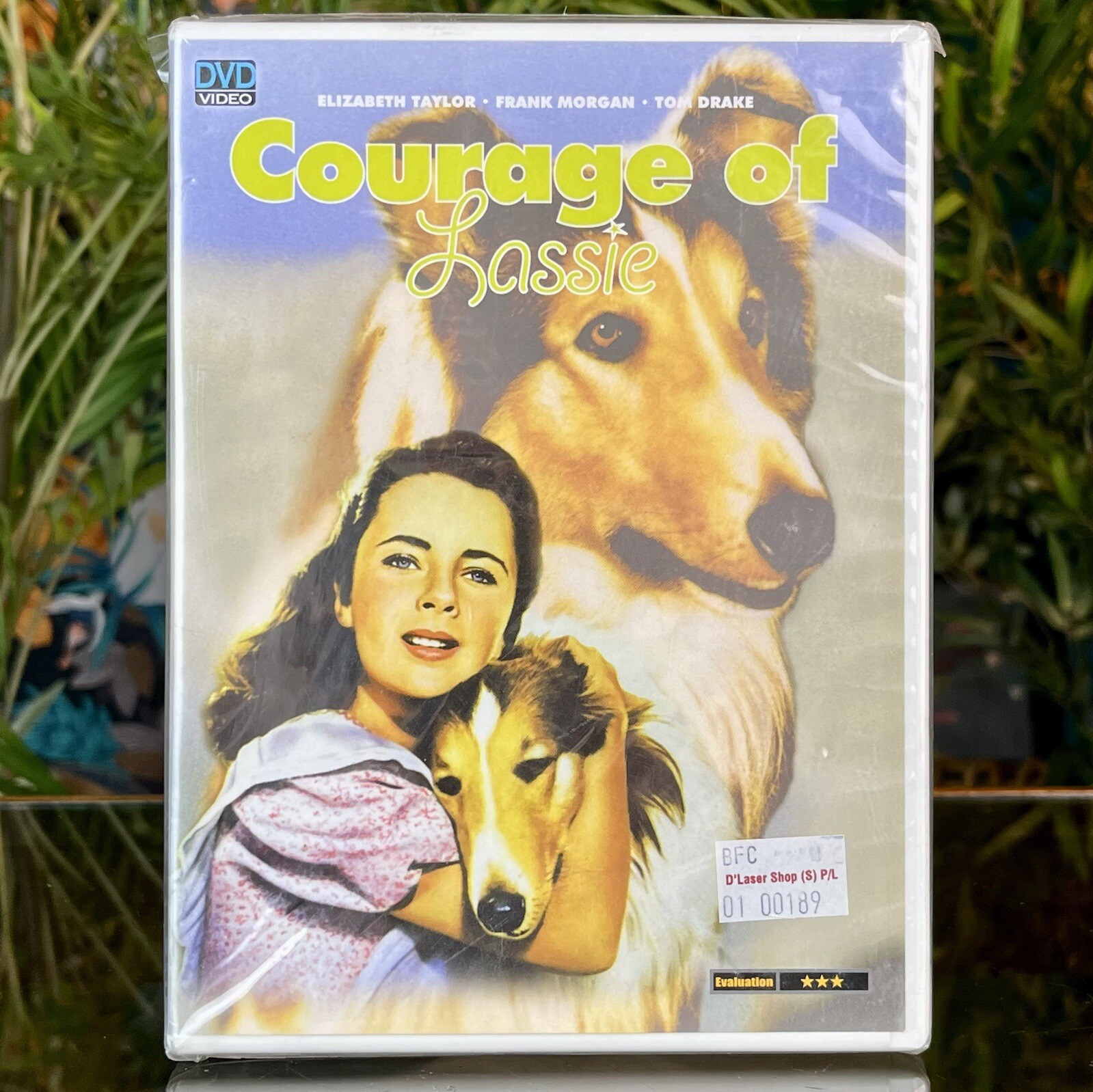 New COURAGE OF LASSIE Multi-Region DVD Taiwanese Import Chinese Subtitles