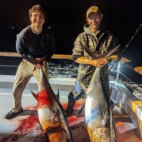 Ganchos circulares 9 km 25 ~ 100 piezas ganchos de pesca de mar ganchos de bagre ancho espacio anzuelos tiburones ganchos - Imagen 9 de 24