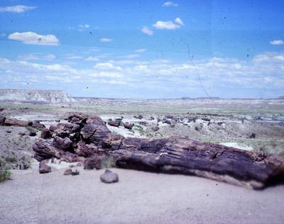 7 Charley Van Pelt Stereo 3D slide pairs ''outtakes'' Painted Desert Petrified AZ