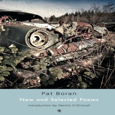 New and Selected Poems Pat Boran Paperback Dedalus Press Poetry