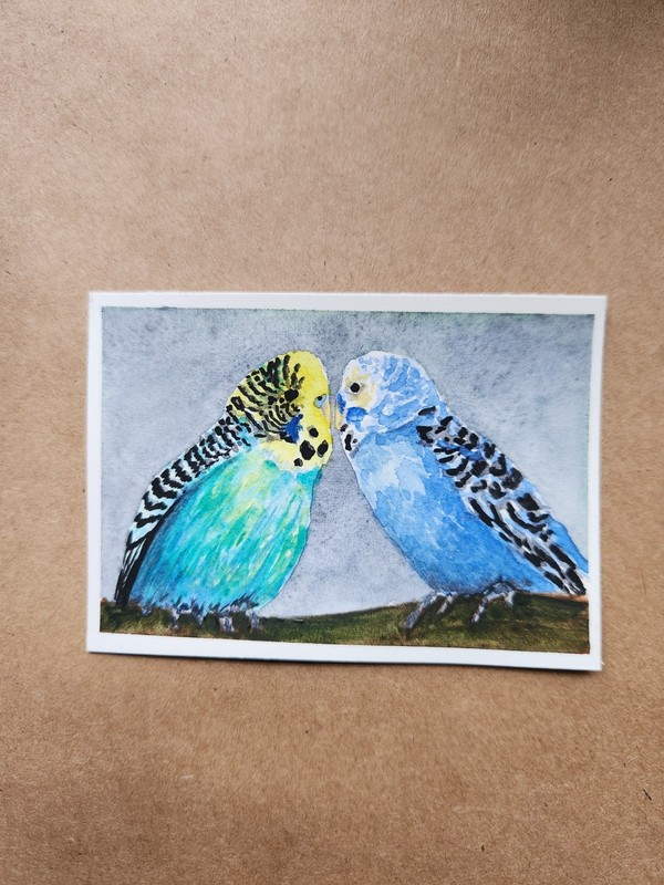 Original Signed ACEO Watercolor Parakeets Budgie Angela Perkinson Miniature Art