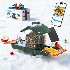   Bird Feeder with Camera and Bath, Dual-Lens 2K HD Video, Solar Powered Outdoor