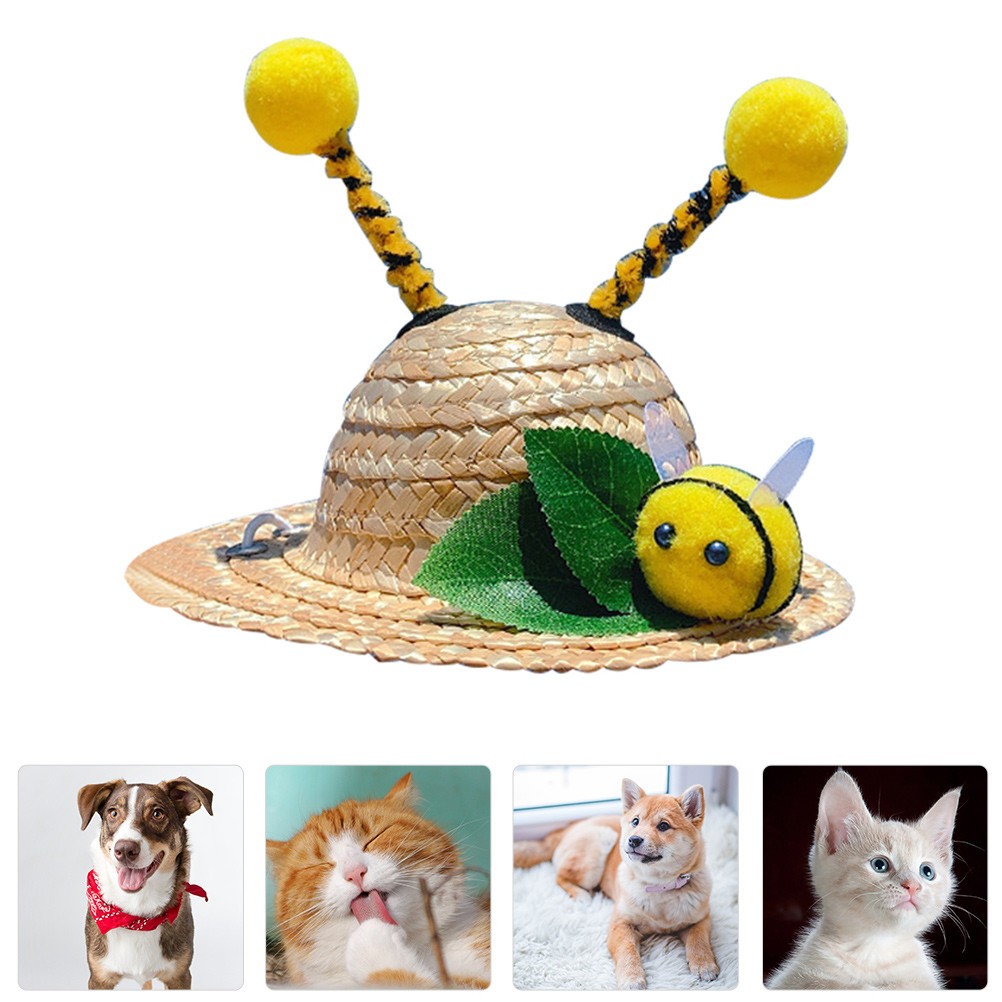 Cappellino per Cani - Accessori per Animali Domestici