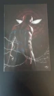 Amazing Spider-Man #46 (Unknown Comics Gabriele Dell'Otto Virgin Variant) (NM/M)