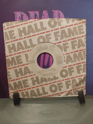 Dead Or Alive - My Heart Goes Bang / Thats The Way I Like It - HOF 7''
