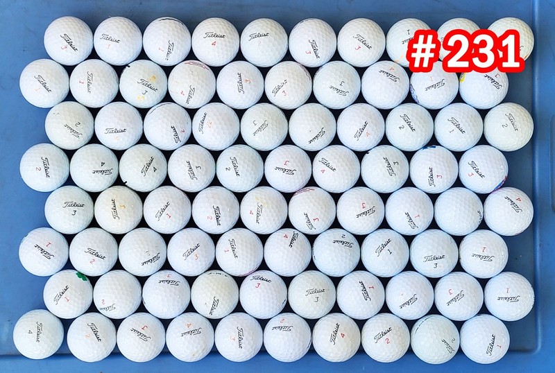 80.  Titleist used Golf Balls A worthy choice ! Package #231