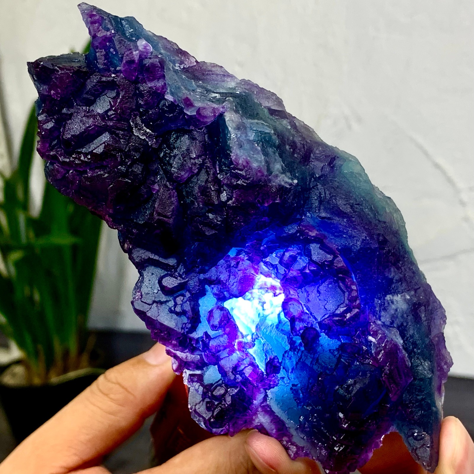 1.21LB Rare Blue Purple Cubic Fluorite Crystal Specimen from China
