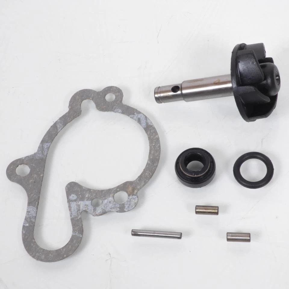 Pompe à eau Sifam pour Moto Peugeot 50 NK7 2010 à 2013 Neuf - Photo 1/1