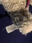 Bild 9 von 9