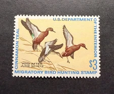 WTDstamps - #RW38 1971 - US Federal Duck Stamp - Mint OG NH **WELL CENTERED**