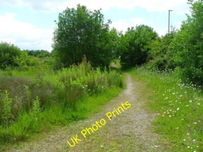 Foto 6x4 Fußweg auf Brachboden Lydney Richtung zweites Tor c2015