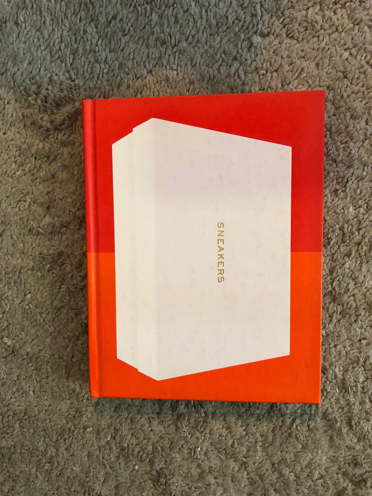 Sneakers by Rodrigo Corral Alex French, & Howie Kahn (2017)-image