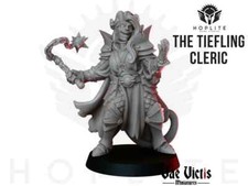 Tiefling Cleric Elf Fighter Miniature DnD D D Pathfinder RPG