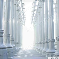 10'x10' Cityscape Computer-painted Vinyl Scenic Photo Background Backdrop BHF805