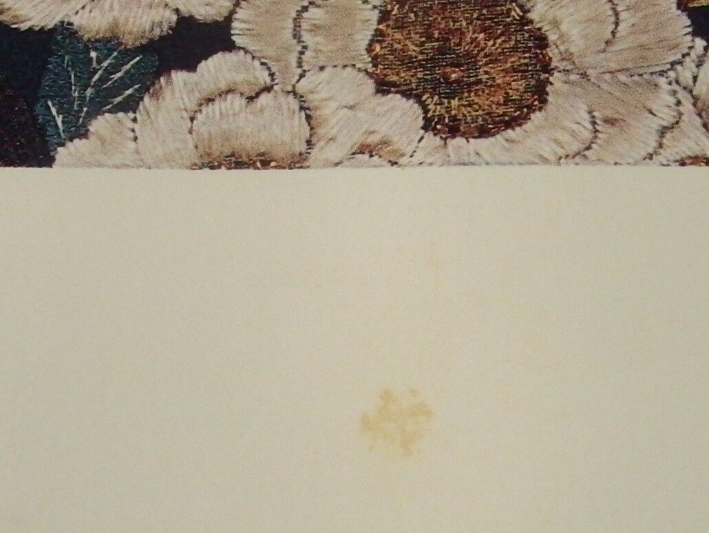 Picture 8 of 23