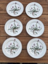 VILLEROY&BOCH Botanica  Frühstücksteller Teller 6tlg.Set D.21 cm