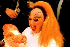 Repro DRAG QUEEN DIVINE 1972 John Waters PINK FLAMINGOS Movie Promo 4X6 POSTCARD