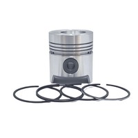 Kolben + Kolbenring-Satz (0,50 Mm-üBergrößE-105,50 Mm): Kompatibel Mit Same / 10