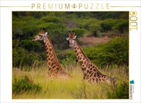 Calvendo Puzzle An Encounter At Ihtala Game Reserve, South Africa | 1000 Pieces,