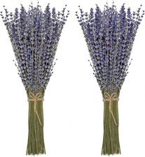 Dried Lavender 2 Bunches 100 Fresh Natural Purple Bouquet 2 Bunches, Mixed