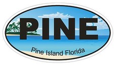 Pine Island Florida Oval Bumper Sticker or Helmet Sticker D1264 Euro Oval