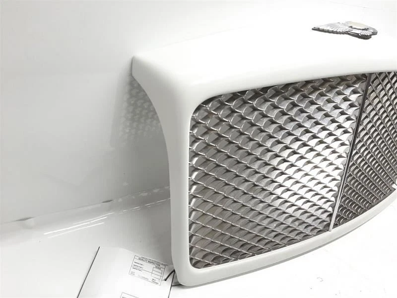 99-04 Bentley Arnage Radiador Delantero Rejilla Malla Cromo Completo Foto 4 de 4