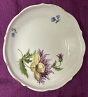 Vintage Meissen Flowered Cup And Saucer — photo 7