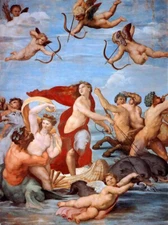 stunning  oil  painting  handpainted on canvas-  The Triumph of Galatea