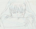 The Twelve Kingdoms Juuni Kokki Genga Douga Original Sketches Pierrot - Youko — photo 4