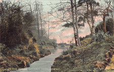 POSTCARD - IREALND - IN THE ROYAL BOTANIC GARDENS - BELFAST - MISCH AND CO