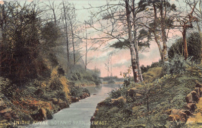 POSTKARTE - IRLAND - IM KÖNIGLICHEN BOTANISCHEN GARTEN - BELFAST - MISCH UND CO