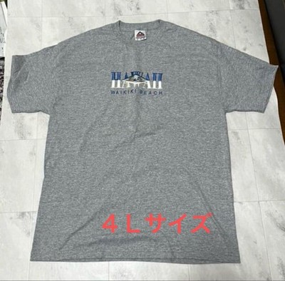 Excellent condition All Style HAWAII ALOHA STATE Hawaii T shirt Size XL LL AAA H