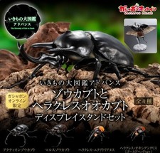 Gashapon Ikimono Encyclopedia Advance Elephant Beetle & Hercules Beetle Set of 4