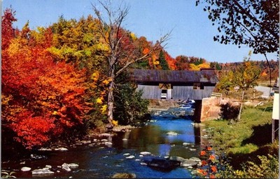 Old Covered Bridge Johnson Vermont Autumn Fall Time Vintage Chrome Postcard B39