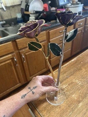 2 preserved roses dipped in gold