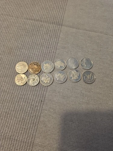 ( 12 ) 1/10 Of An Oz Silver Rounds .999 Fine Silver
