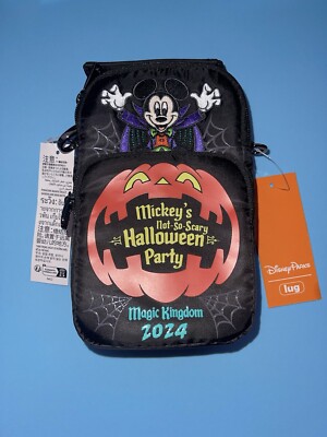 2024 Disney Parks Mickey display picture 2