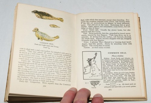 Edmund Sandars - A Beast Book For The Pocket Hardback 1937 - Picture 14 of 15