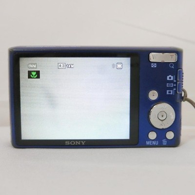Buy Sony Cyber-shot DSC-W610 14.1MP Digital Camera - Silver online