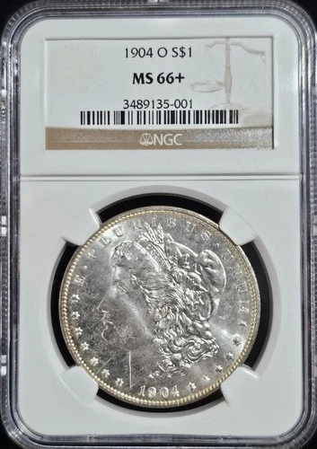 1904-O Morgan Dollar MS-66+ NGC COLLECTION VIDEO